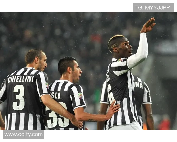 博洛尼亚正式宣布签下西多夫，意大利国脚加盟强化球队实力