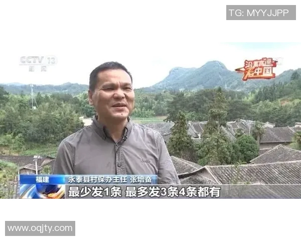 国家德比背后的政治象征与文化认同的深层解读 国家德比背后的政治象征与文化认同的深层解读